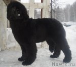 Превью фото № 58845