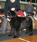 Превью фото № 58852