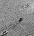 Превью фото № 59173