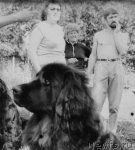 Превью фото № 59174