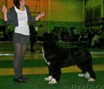 Превью фото № 59355