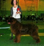 Превью фото № 59356