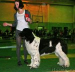 Превью фото № 59362