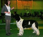 Превью фото № 59363