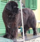 Превью фото № 59408