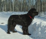 Превью фото № 59424