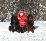 Превью фото № 59633