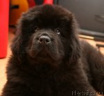 Превью фото № 59846