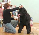 Превью фото № 6002