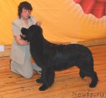 Превью фото № 60028