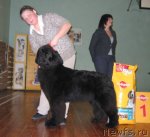 Превью фото № 60090