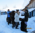 Превью фото № 60097