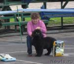 Превью фото № 6017