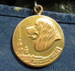 Превью фото № 60246