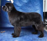 Превью фото № 60258