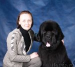 Превью фото № 60261