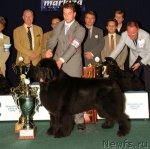 Превью фото № 60302