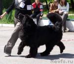 Превью фото № 604