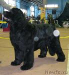 Превью фото № 606