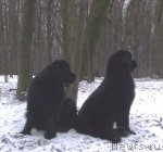 Превью фото № 61002