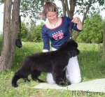 Превью фото № 61043