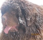 Превью фото № 61207