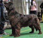 Превью фото № 61242