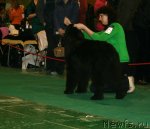 Превью фото № 61334