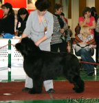 Превью фото № 61373