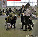 Превью фото № 61376