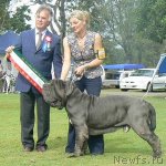 Превью фото № 61377