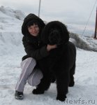 Превью фото № 61444