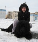 Превью фото № 61445