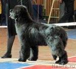 Превью фото № 61466