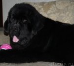 Превью фото № 61502