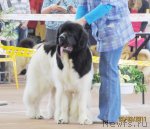 Превью фото № 61844