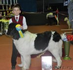 Превью фото № 61938