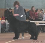 Превью фото № 62017