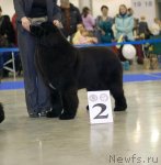 Превью фото № 62254