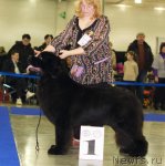 Превью фото № 62275