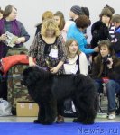 Превью фото № 62278