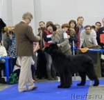 Превью фото № 62279