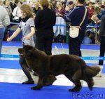 Превью фото № 62280