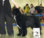 Превью фото № 62283