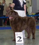 Превью фото № 62311