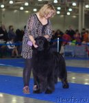 Превью фото № 62313