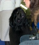 Превью фото № 62330