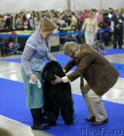 Превью фото № 62350