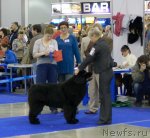 Превью фото № 62352