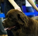 Превью фото № 62357